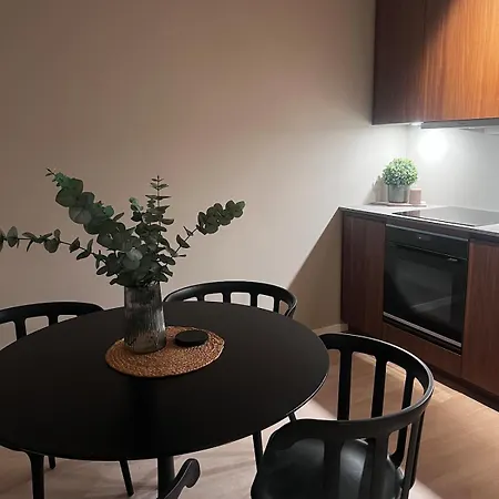 Newly Renovated In Tromsoya Apartment